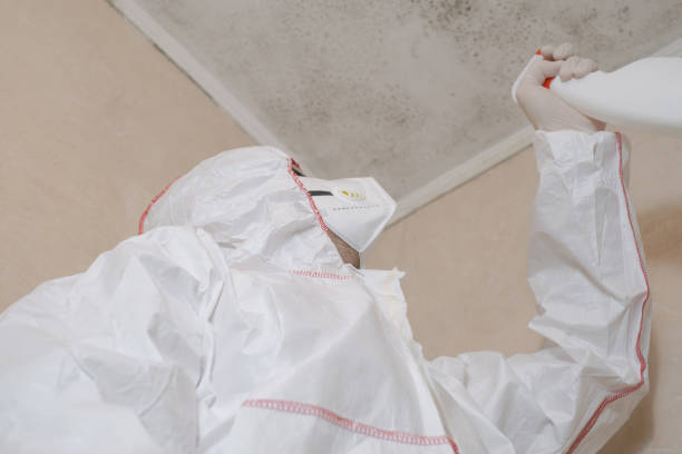 Best Crawl Space Mold Removal  in Guerneville, CA