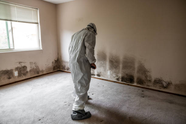Water Damage Restoration in Guerneville, CA